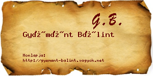 Gyémánt Bálint névjegykártya